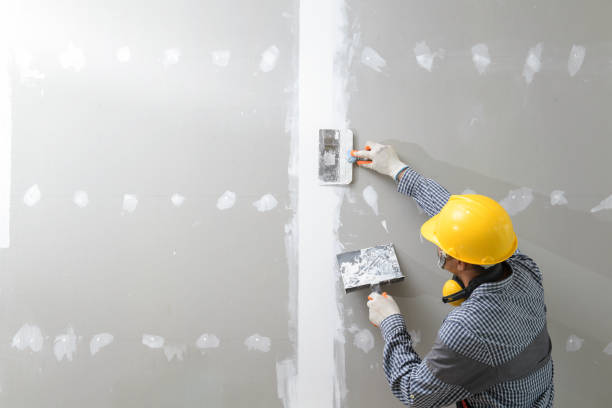 Best Environmental Consulting for Mold Prevention  in Pico Rivera, CA
