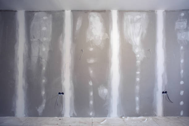 Best Basement Mold Removal  in Pico Rivera, CA